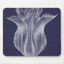 Recherche de tulipe tapis souris Botanique