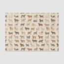 Suche nach rasse Hunde