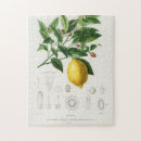 Suche nach vintage frucht puzzle Früchte