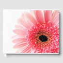 Recherche de daisy livre d or Fleurs