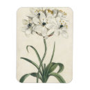 Suche nach elfenbein magnete Blumenreich