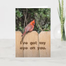 Suche nach roter kardinal karten Natur