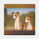 Recherche de levrier magnets Pour tous
