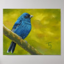 Recherche de indigo poster Oiseau