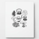 Suche nach schnecke fotoplatten Goblincore