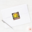 Recherche de fleurs de jonquille autocollants Printemps