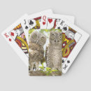 Recherche de hibou jeux de cartes Birding