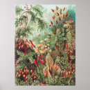 Suche nach moss kunst Pflanze