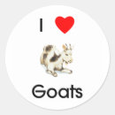 Recherche de chèvre de billy autocollants Animaux