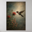 Suche nach kolibri poster Vogelposter