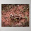 Suche nach lizards poster Reptilien