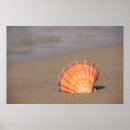 Suche nach vorsprung Beach