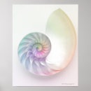 Suche nach nautilus poster Tier