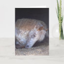 Suche nach gepunktet karten Gruß