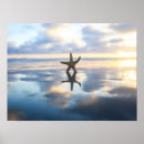 Suche nach seestern poster Naturfotografie
