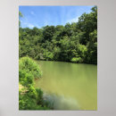 Recherche de roseau posters Nature