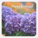 Suche nach weibchen aufkleber Blume