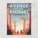 Recherche de baobab cartes postales Avenue des baobabs