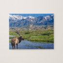 Suche nach rocky mountain puzzle Colorado