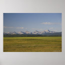 Suche nach große bäume poster Baum