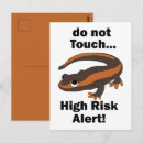 Recherche de salamandre cartes postales Lézard