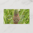 Recherche de fruit exotique cartes visite Ananas