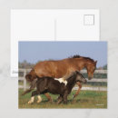 Recherche de pur cartes postales Courant