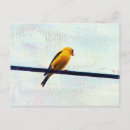 Recherche de chardonnerets cartes postales Oiseau