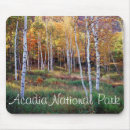 Suche nach herbst mousepads Wald