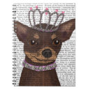 Recherche de chihuahua Tiara