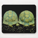 Recherche de coquille tortue tapis souris Animaux