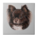 Suche nach chihuahua fliesen Haustier