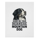 Suche nach berner sennenhund poster Welpe