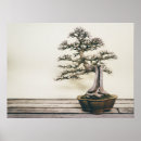 Suche nach chinesischer garten poster Baum