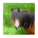 Suche nach schmutzig fliesen Pferd