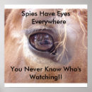 Recherche de visage de cheval posters Yeux