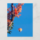 Recherche de air balloon cartes postales Voyage