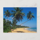 Recherche de greg johnston cartes postales Plage