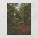 Recherche de swedish cartes postales Suède