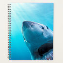 Recherche de requin bureau fournitures Faune
