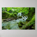 Suche nach fluss des lebens poster Grün