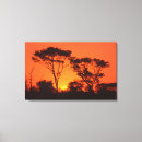 Suche nach adams kunst Rot