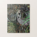 Suche nach amphibien puzzle Fotografie