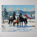 Suche nach appaloosa poster Bauernhof