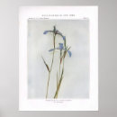 Recherche de étroit posters Plante