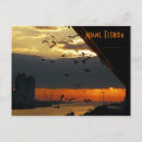 Suche nach möwen postkarten Sonnenaufgang