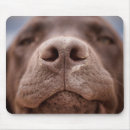 Suche nach nas mousepads Haustier