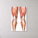 Suche nach beine poster leinwandbilder 3d