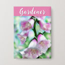 Suche nach garten blumen buttons Rosa