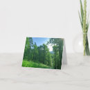 Recherche de vert forêt photographie Arbre